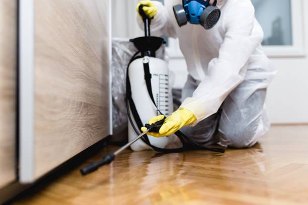 Best Best Pest Control Near Me  in Scaggsville, MD
