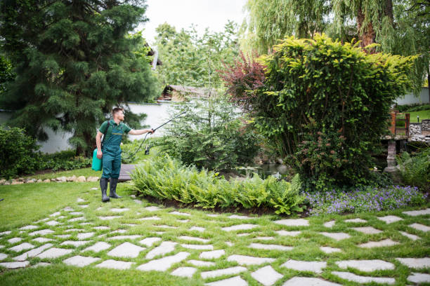 Wasp Removal Services in Scaggsville, MD