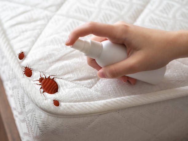 Best Pest Control Near Me  in Scaggsville, MD