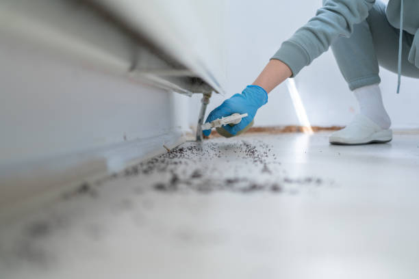 Best Pest Prevention Services  in Scaggsville, MD