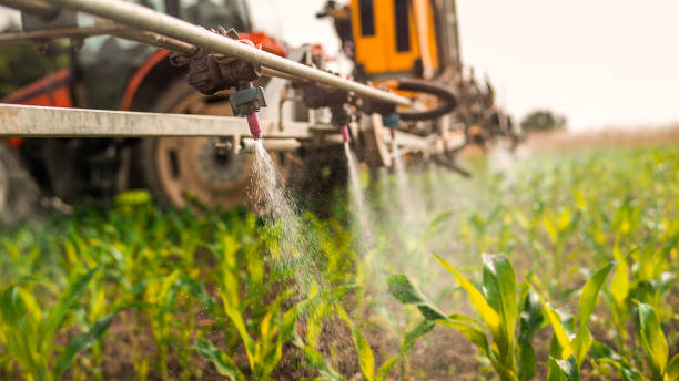 Best Mosquito Control Services  in Scaggsville, MD