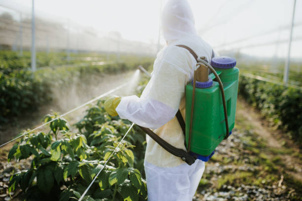 Best Pest Control Near Me  in Scaggsville, MD